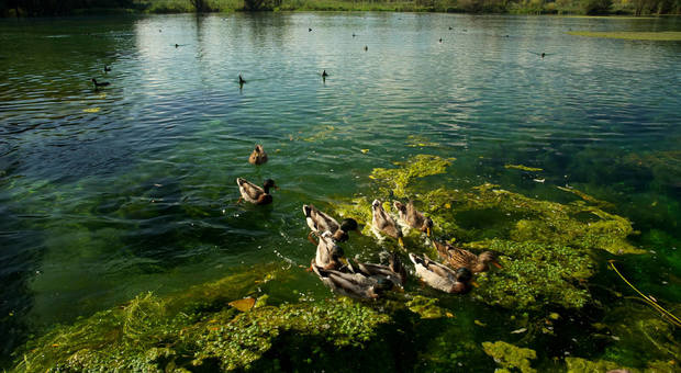"I Colori della Natura", domenica l'escursione nella Riserva del lago di Posta Fibreno