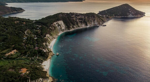 Pernice rossa, all'Isola d'Elba popolazione geneticamente più integra d'Italia