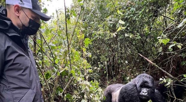 Mauro Icardi in vacanza con Wanda Nara: fa pipì con un gorilla, il video virale