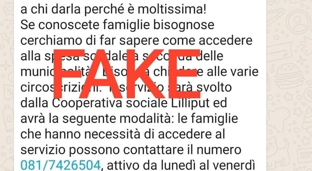 Spesa solidale a Napoli: «Beni abbandonati alla Mostra d'Oltremare», ma è una fake news