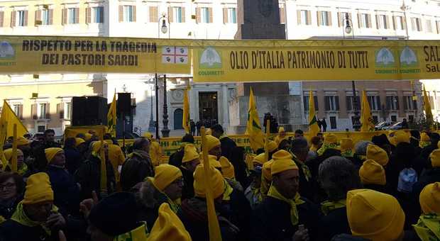 Roma, la protesta del latte e dell'olio arriva davanti a Montecitorio
