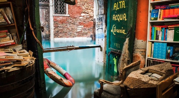 Venezia, allagata anche la libreria Acqua Alta: «Distrutti tutti i libri»