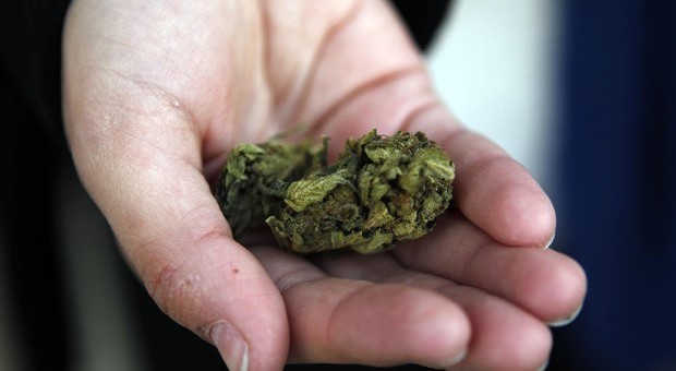 Operazione antidroga: 3 arresti, 5 denunce e sequestrati oltre 2 kg di marijuana