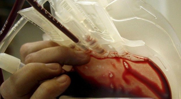 Sangue infetto, in Campania risarcimenti per 230 vittime