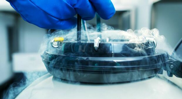 Tumori, una biobanca di organoidi avatar per aiutare la ricerca