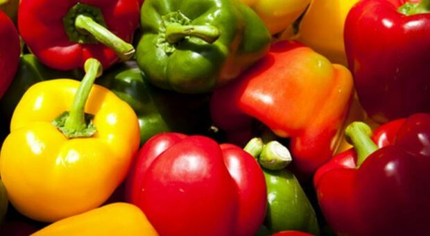 Dieta, quante calorie hanno i peperoni? Proprietà e benefici spiegati in 1 minuto