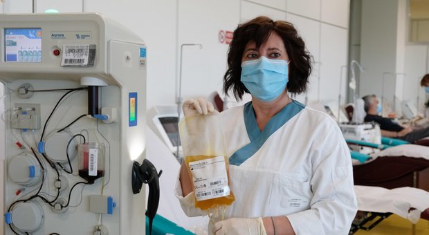 Coronavirus, l'Abruzzo cerca donatori per la cura con plasma iper-immune