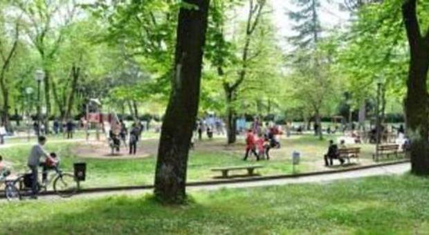 Si spezza grosso ramo di una quercia Paura per un gruppo di giovani nel parco