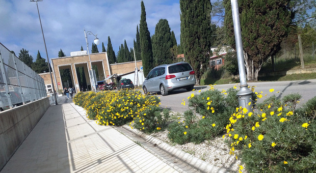 Latina, nuovo ricorso del gestore del cimitero, Ipogeo chiede un maxi risarcimento