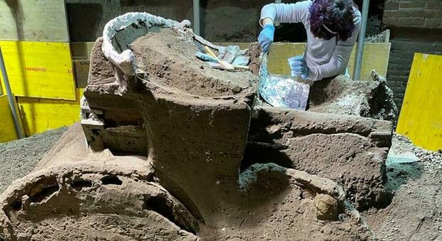 Pompei, carro cerimoniale romano ritrovato tra i cunicoli dei tombaroli: sul retro anche decorazioni erotiche