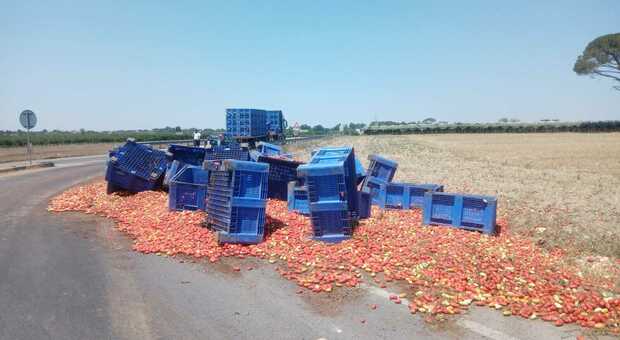 Camion perde carico di pomodori, gli automobilisti si fermano per raccoglierli