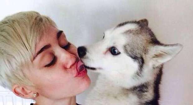 Miley Cyrus dalla medium dei vip per parlare con il cane morto
