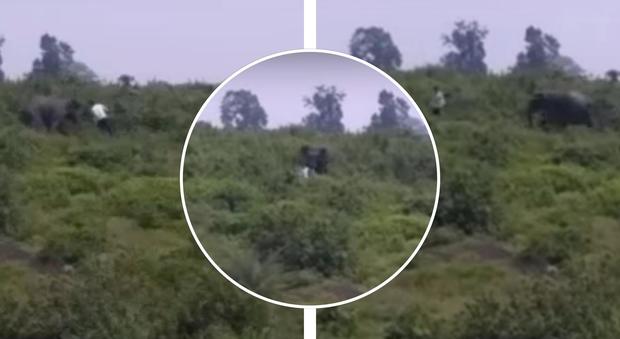 Si avvicina a un elefante per scattare un selfie, l'animale carica e lo uccide