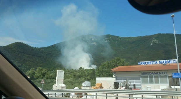 Piromani danno fuoco al deposito comunale, bruciano anche gli olivi