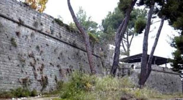 Fortezza Pia, scontro sul taglio degli alberi