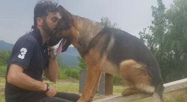 Kaos, il cane ucciso da chi ha salvato nel terremoto. Il sindaco di Amatrice: «Giornata in suo onore»