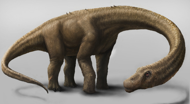 Trovati in Argentina i resti di un titanosauro di 85 milioni di anni fa