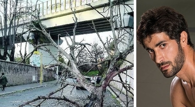 Crolla un altro albero, paura a Valle Aurelia: ferito l'attore Angelo Costabile