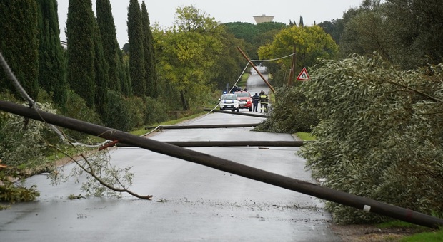 Maltempo, tempesta nel Ferrararese: danni e alberi caduti. Frana nel Bergamasco: bloccata statale 42