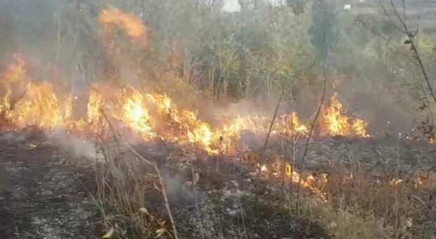 Roghi distruggono i boschi, domenica di fuoco in Irpinia