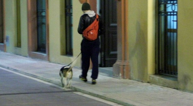Lucca, lite nel bar per un cane bagnato: 35enne difende una donna e viene accoltellato, è fin di vita