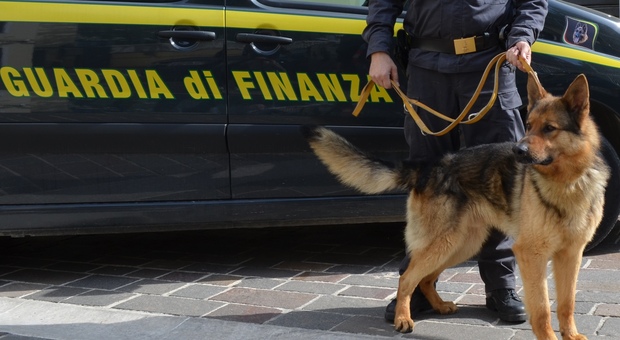 Roma, droga: sgominata organizzazione: in manette quattro narcotrafficanti