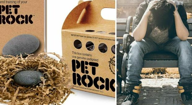 Una pietra come animale domestico: i Millennial adottano una pet rock contro burnout e solitudine
