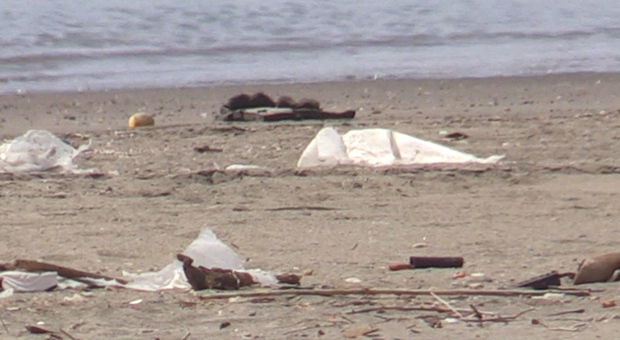 Ostia e Fiumicino, le spiagge riaprono ma sono piene di rifiuti e detriti