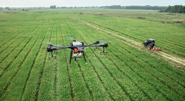 Utilizzo di Droni nelle coltivazioni agricole