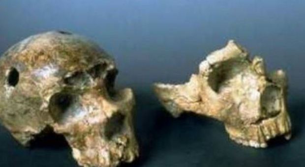 Il primo uomo di Neanderthal arrivò a Roma 250 mila anni fa: svolta nel mondo dell'archeologia