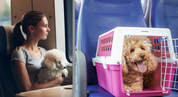 I cani gratis sul treno