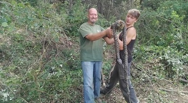 Ascoli, scoperto un serpente lungo 2 metri alle porte della città