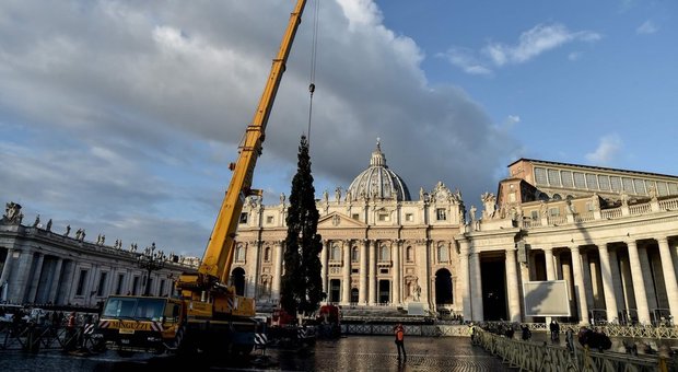 Roma, arrivato l'albero di Natale a San Pietro