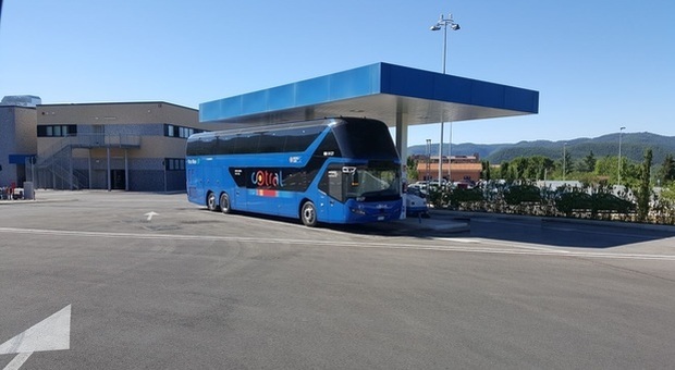 Bus Cotral (Archivio)