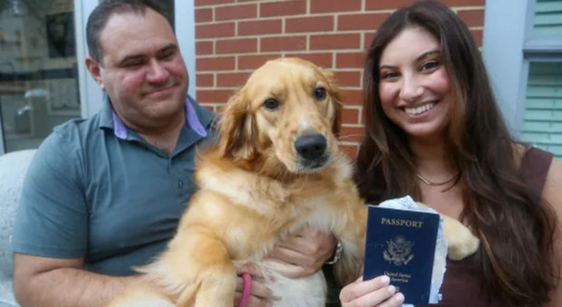Sposo rischia di essere assente alla sue nozze: il cane gli ha mangiato il passaporto. La fidanzata partirà comunque per l'Italia