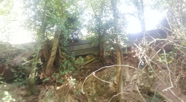 Alcuni rifiuti abbandonati nei boschi di Collestatte