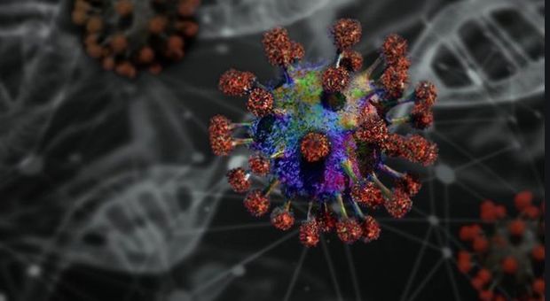 Tumori, la Cina studia un virus in grado di ucciderli: al via la sperimentazione