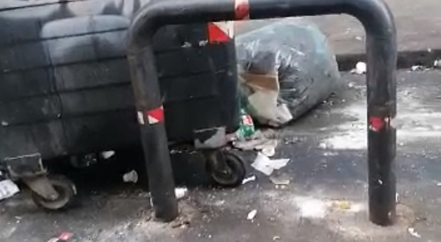 Napolil il Vasto assediato da spazzatura, topi e blatte: «Ci hanno tolto la dignità»
