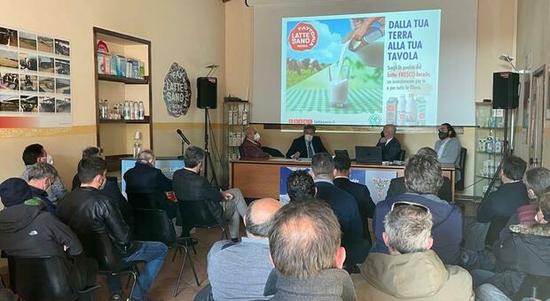 Latte, nel Lazio i consumi calano del 10%: la filiera fa squadra in difesa del latte fresco locale