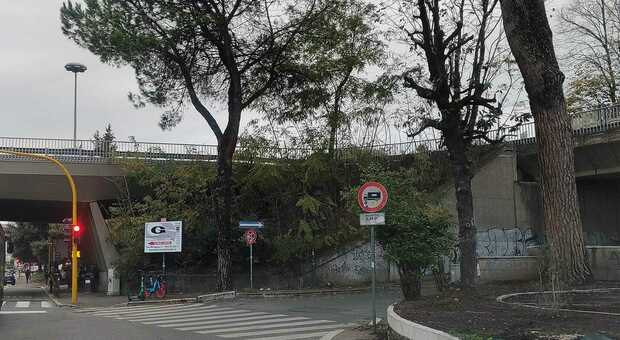 Roma Cassia, stop agli attraversamenti pericolosi nel XV Municipio: da gennaio strisce illuminate in 4 punti critici