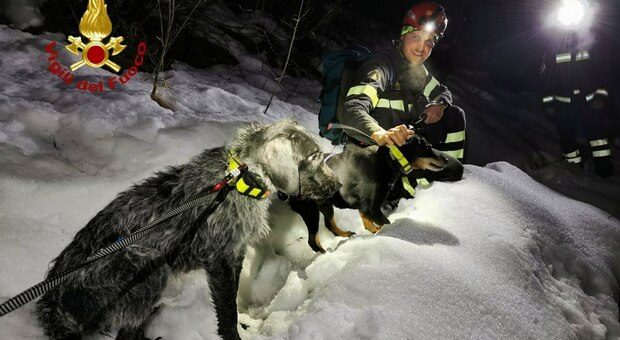 I due cani salvati dai Vigili del fuoco