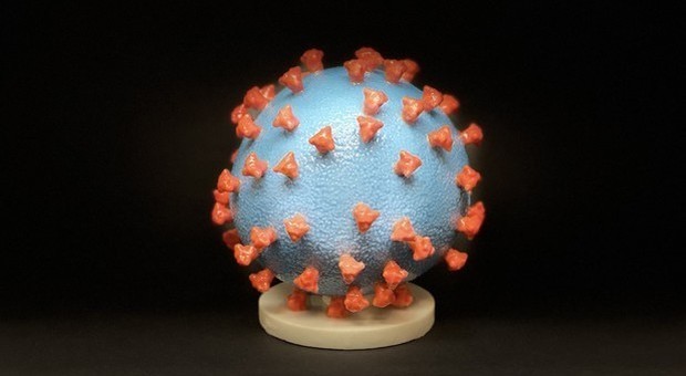 Nature fuga ogni dubbio sul Coronavirus: «Origine naturale, non è nato in laboratorio»