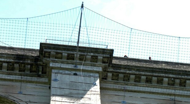 Roma, la maledizione del ponte di Ariccia: «Le reti come trampolini»