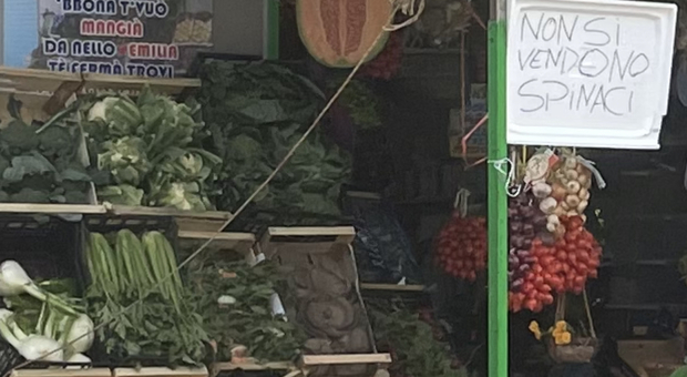 «Qui non si vendono spinaci»: il cartello del fruttivendolo contro la paura di intossicazione da mandragora
