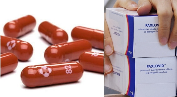 Pillola anti-Covid, consegnate alla Puglia 419 confezioni del farmaco Pfizer. Ecco come funziona