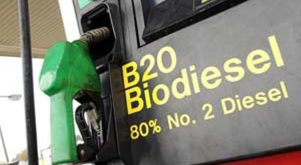 Distributore di biodiesel
