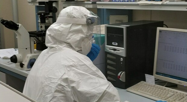 Il laboratorio di virologia dell'Azienda Ospedali Riuniti