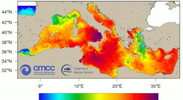 Puglia, mare mai così caldo: l'acqua raggiunge i 30 gradi. Il video degli scienziati sull'evoluzione delle temperature