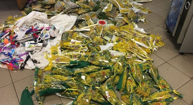 Roma, blitz contro i venditori abusivi di mimose: sequestrati 700 ramoscelli