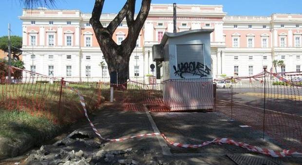 Napoli, l'ospedale Cardarelli ostaggio del degrado: anche un'anguria tra le aiuole sporche e non manutenute